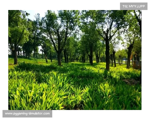 伦纳德称赞张文杰天赋出众并期待他在篮球场上的未来表现